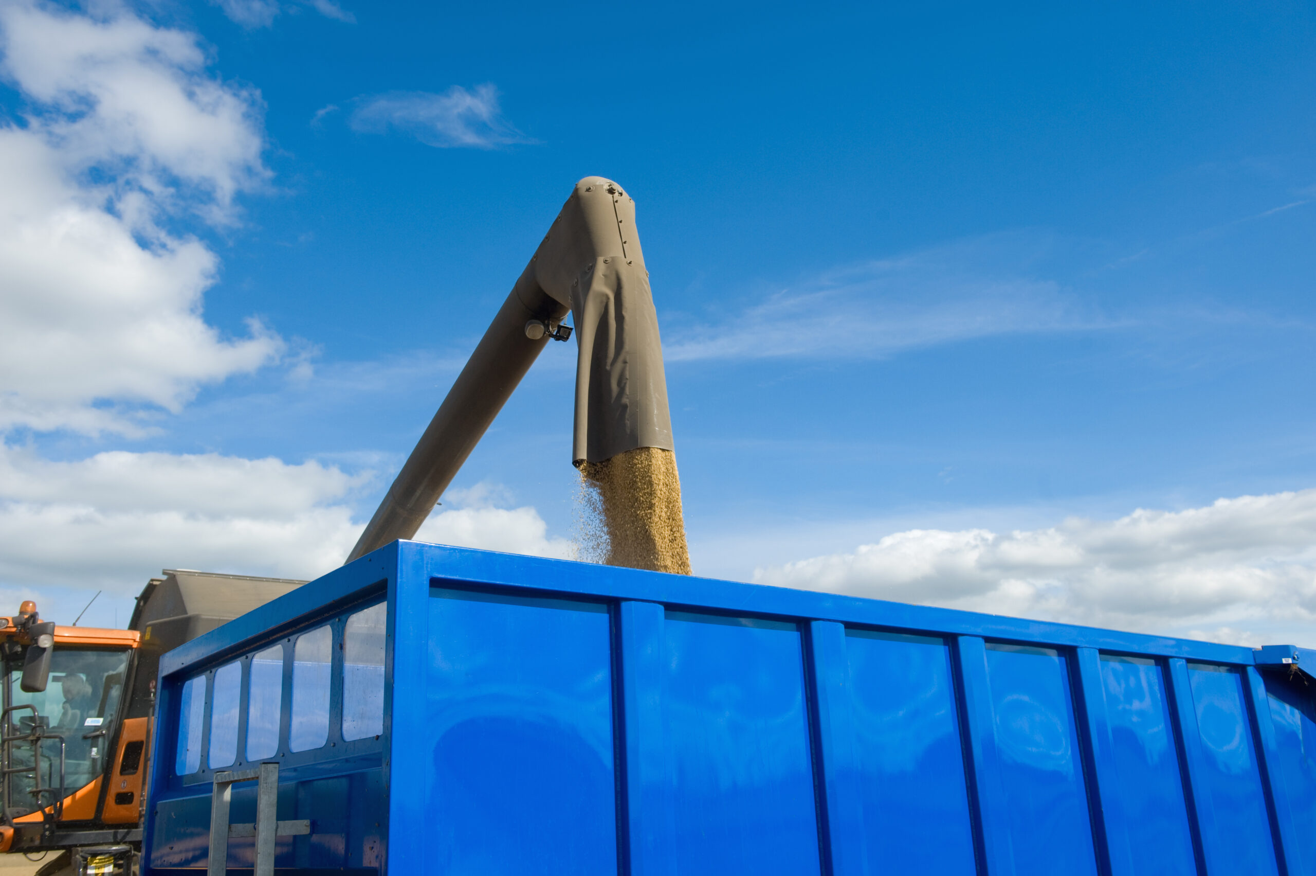 Commercial Dumpster Rental Services 1 Commercial Dumpster Rentals